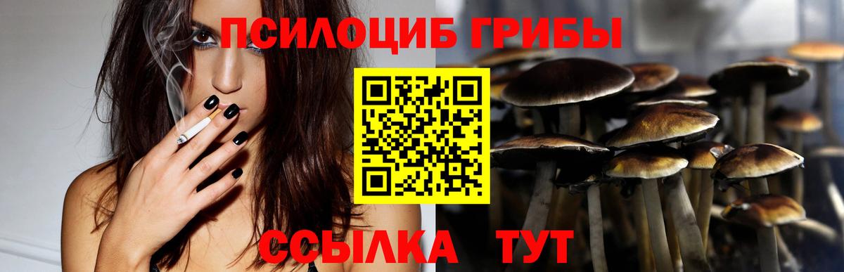 Галлюциногенные грибы Cubensis  Вход с VPN  Красный Сулин 