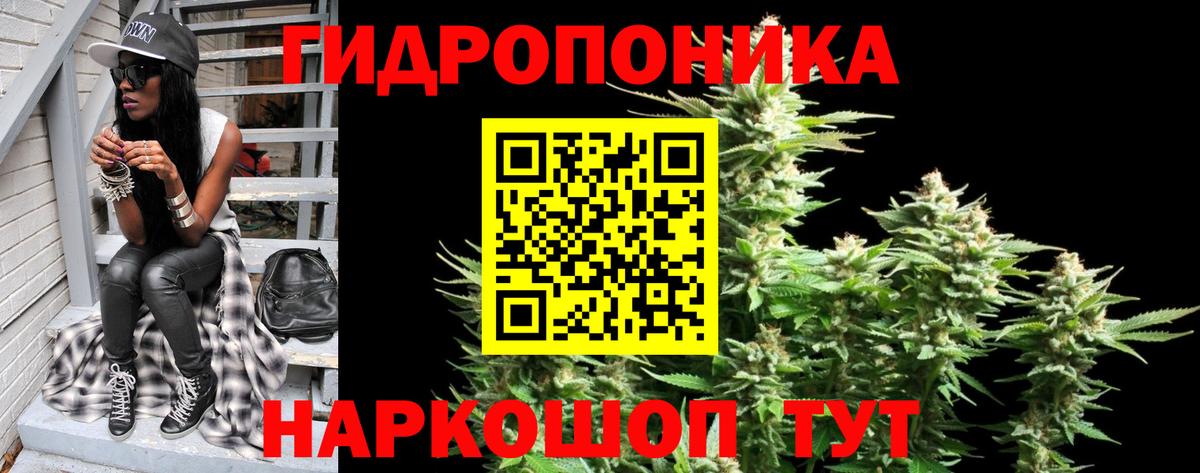Шишки марихуана сатива  Вход с VPN  МАРИХУАНА гибрид  Красный Сулин 
